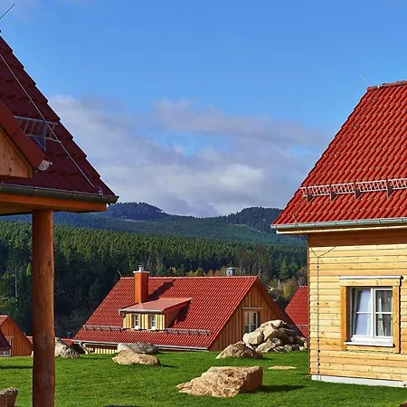 Holiday Homes In The Harzresort On The Brocken,